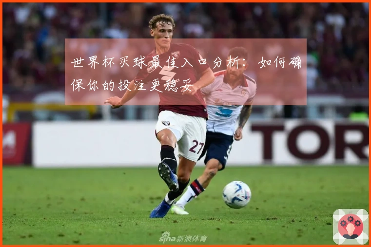 世界杯买球最佳入口分析：如何确保你的投注更稳妥