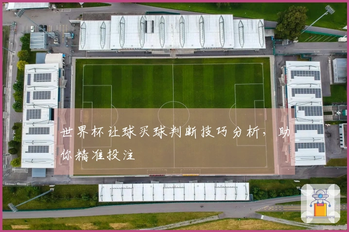 世界杯让球买球判断技巧分析，助你精准投注