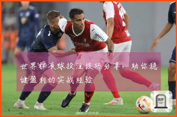 世界杯滚球投注技巧分享，助你稳健盈利的实战经验