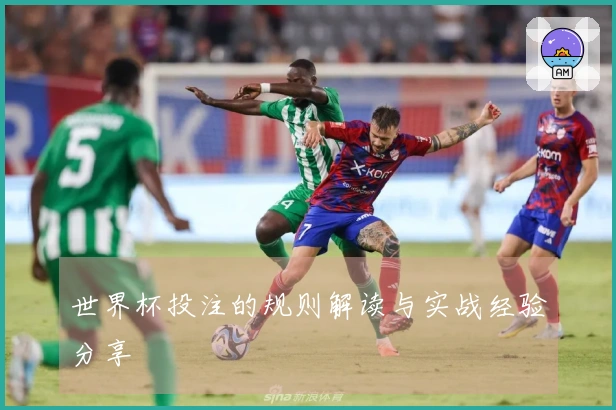 世界杯投注的规则解读与实战经验分享