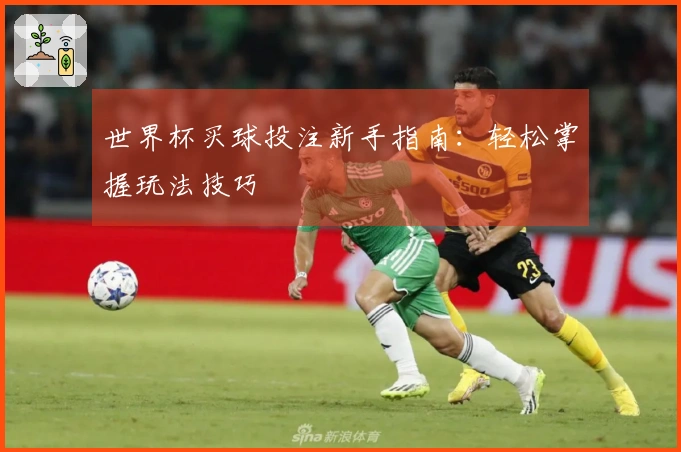 世界杯买球投注新手指南：轻松掌握玩法技巧