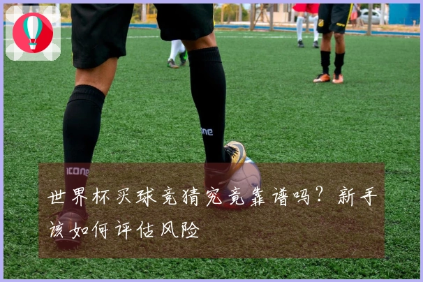 世界杯买球竞猜究竟靠谱吗？新手该如何评估风险