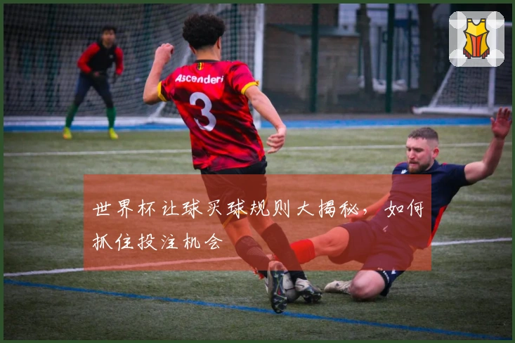 世界杯让球买球规则大揭秘，如何抓住投注机会